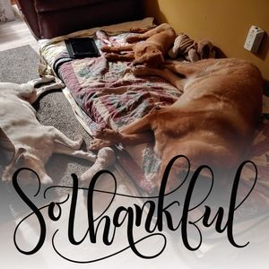 Meet your Posher, Tammie